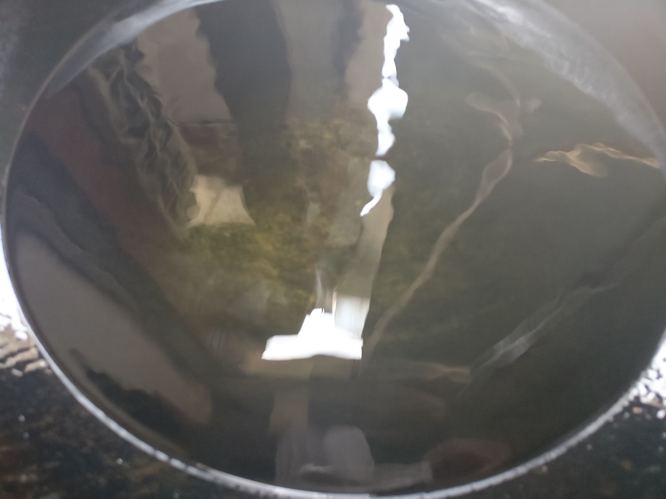 国家一级厨师教你做玉米烙,厨师做玉米烙用什么粉