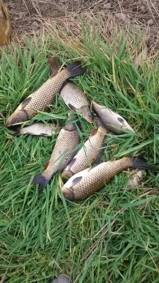 缁忓吀閽撴硶瑙嗛澶у叏,娆ч菠閽撴硶瑙嗛