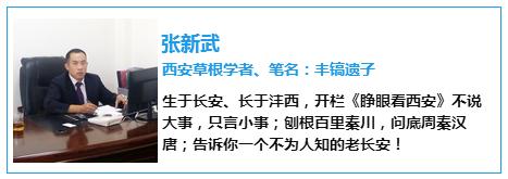 “马蹄金”状若马蹄!“麟趾金”因何形如牛蹄?