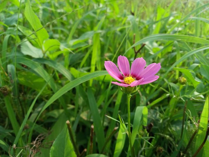 魅蓝e2全部参数配置,魅蓝e2现在值得入手吗