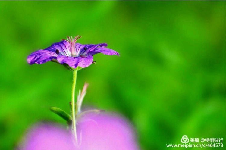 走过四季夏天最美,走过春夏美丽的秋冬