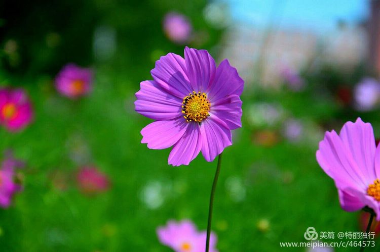 走过四季夏天最美,走过春夏美丽的秋冬