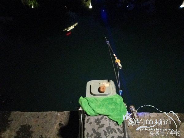 野钓日记第17期,野钓日记19天