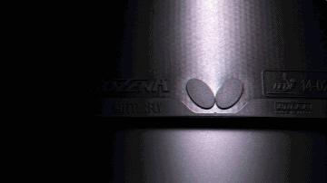 ROZENAVSTenergy，干货全在这里啊！