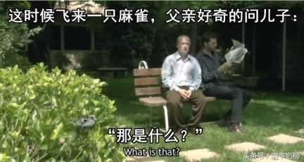 爸爸的小本本,父亲的小本本