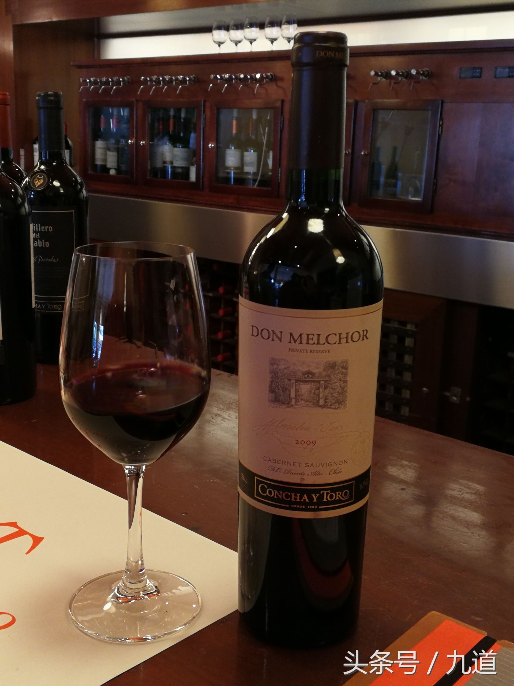 智利佳美娜酒,智利佳美娜品牌推荐