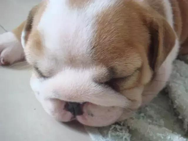 了解这些让胃癌离你远一点,了解这些可以让你少走弯路