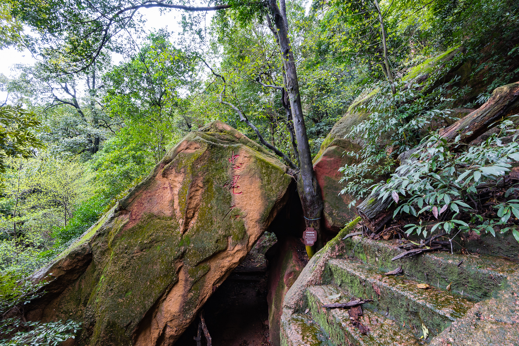 龟峰，创世之神为什么把乌龟的形象封存在这里