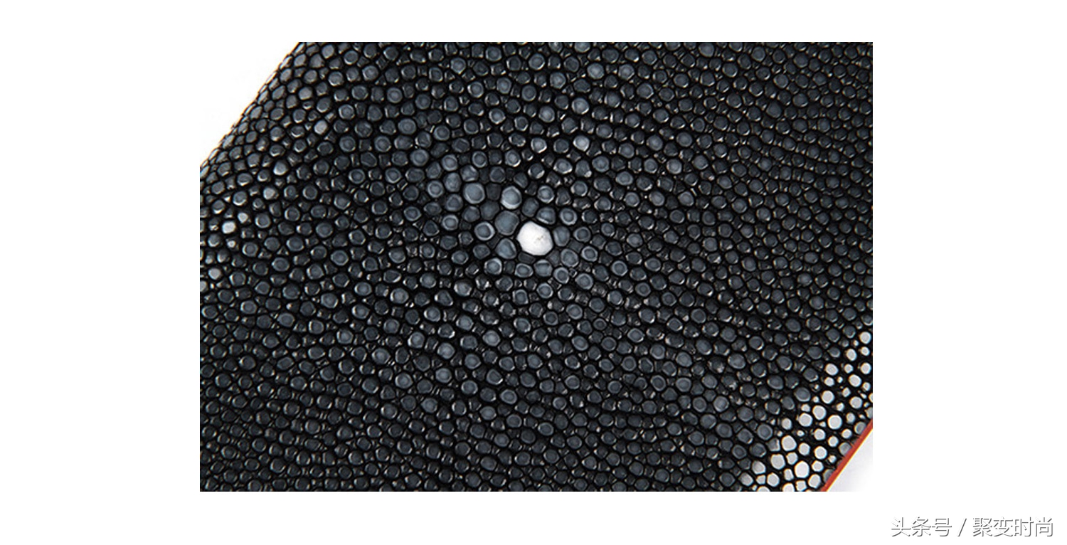 珍珠鱼皮革怎么样,鱼皮皮革优缺点
