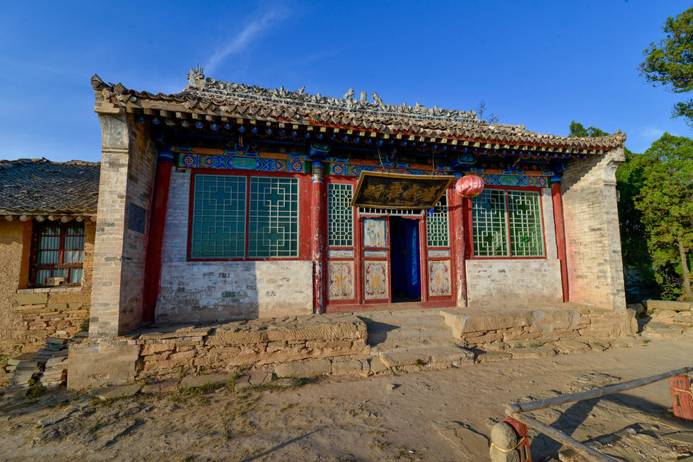 冬天来合阳，赏万顷芦荡，候鸟齐飞（组图）