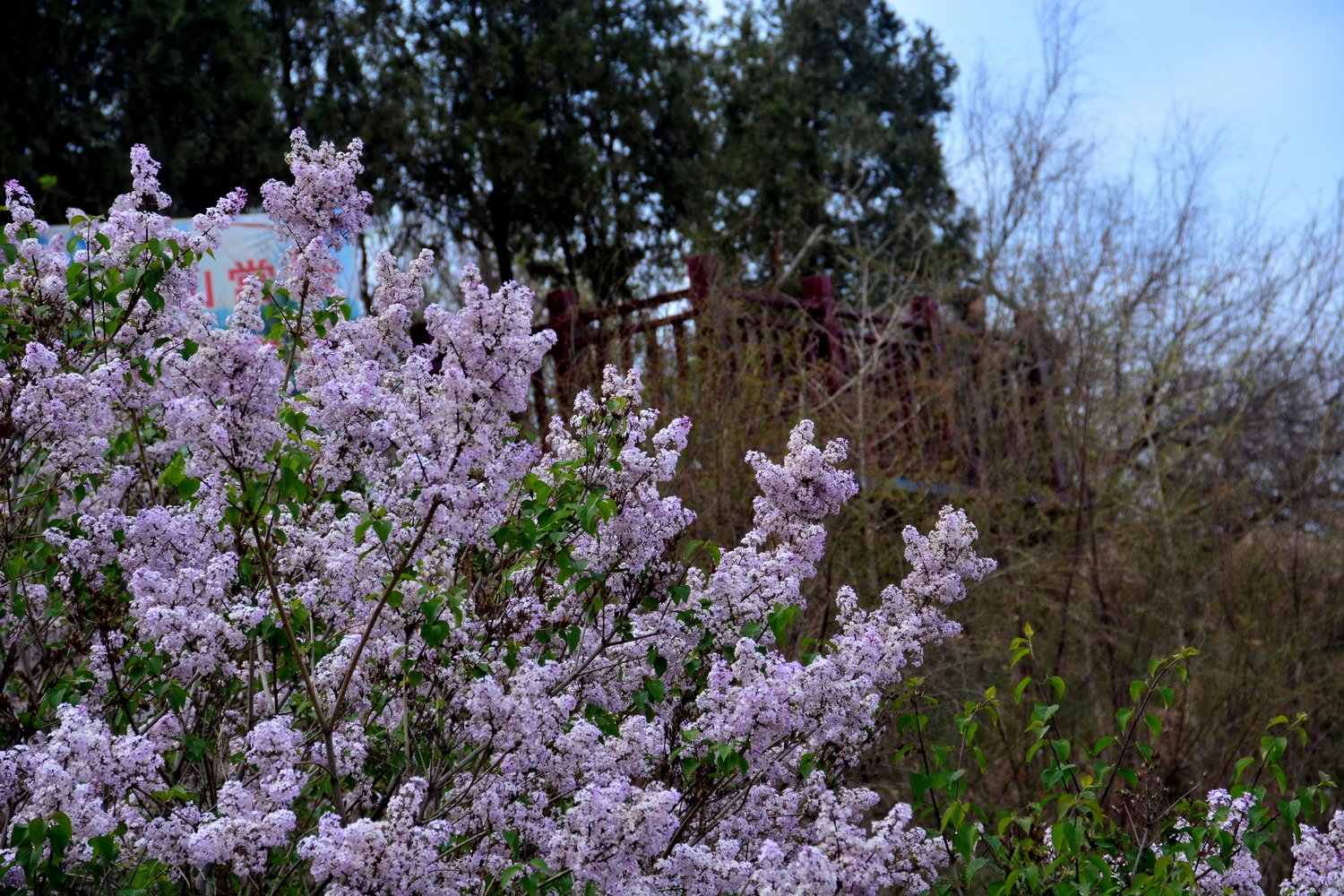 兰山公园在皋兰山上吗,站在兰山看风景