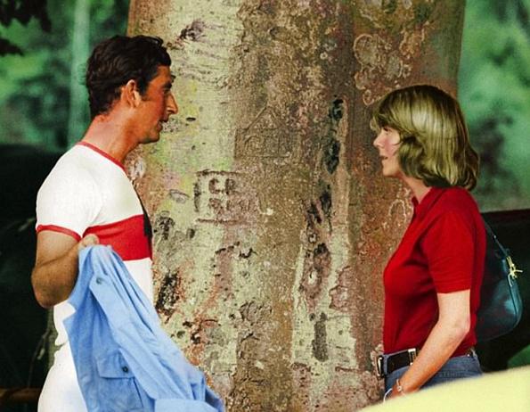 马球运动,马球赛英国王子