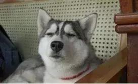 做医疗器械销售怎么样有前途吗,做医疗器械销售多久能赚钱