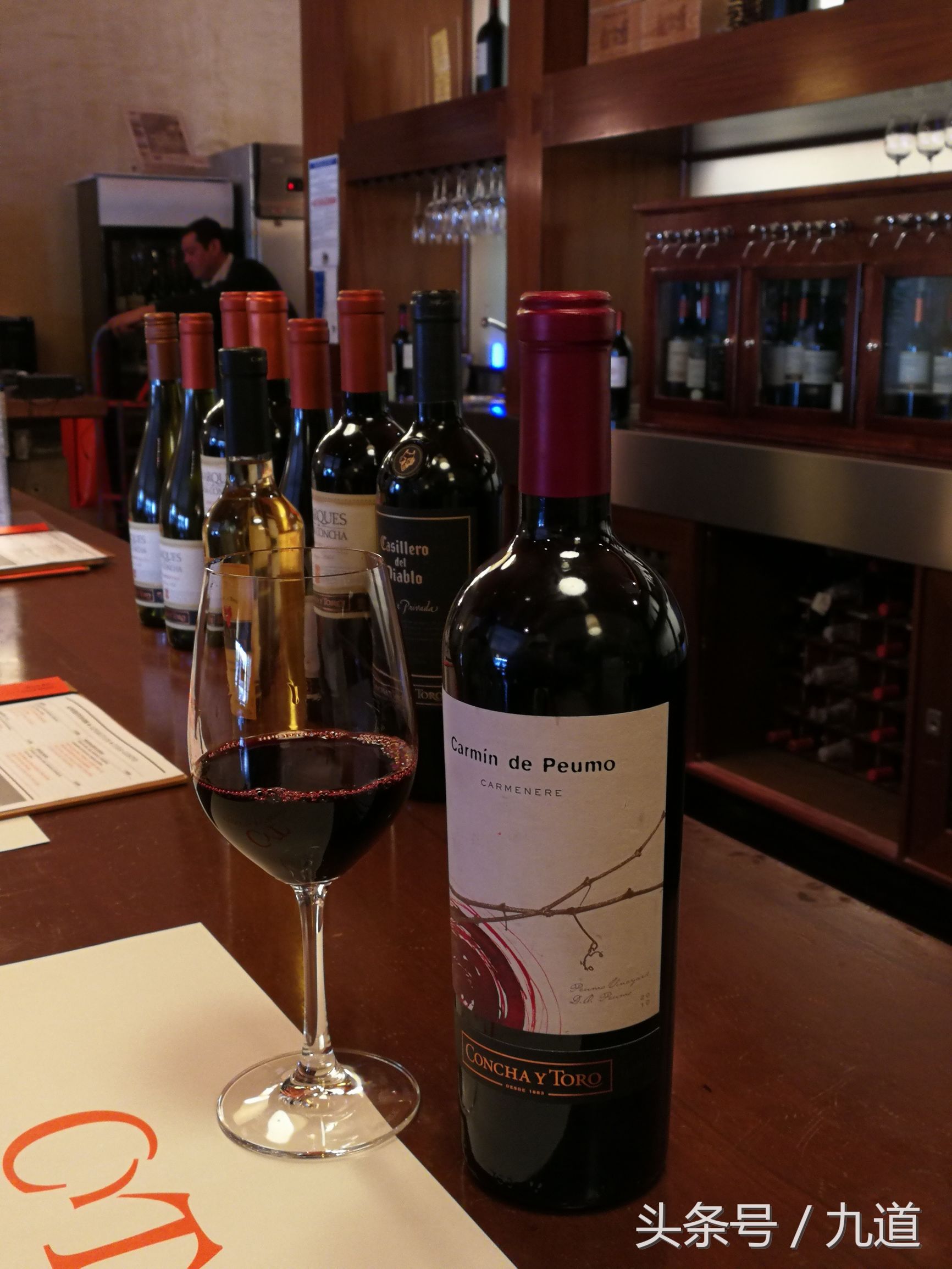 智利佳美娜酒,智利佳美娜品牌推荐