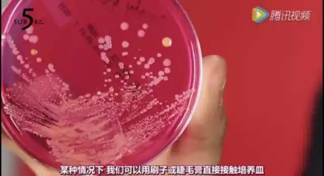 化妆刷怎么消毒,化妆刷清理教程