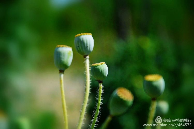走过四季夏天最美,走过春夏美丽的秋冬