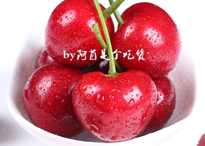 樱桃的季节和品种介绍,樱桃有几个品种哪个品种樱桃好吃