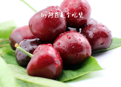 樱桃的季节和品种介绍,樱桃有几个品种哪个品种樱桃好吃