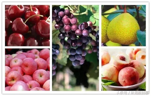 假期约起！珠海开通全新飞行航线，美食美景撩拨你那骚动的心！