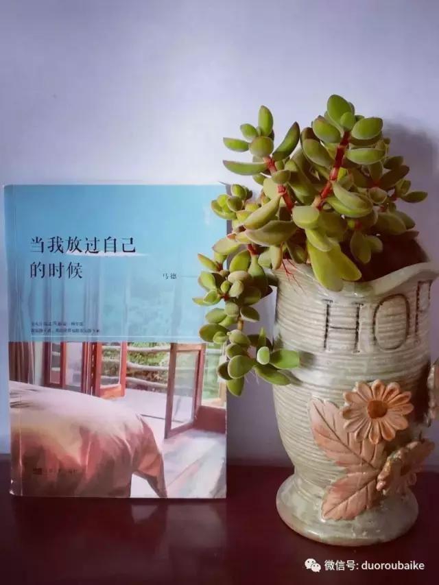 原来多肉与书更配哦！文艺范走起！