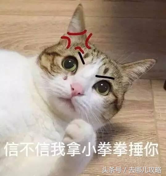 怎么买才能买到最便宜的机票,机票攻略如何买到便宜机票