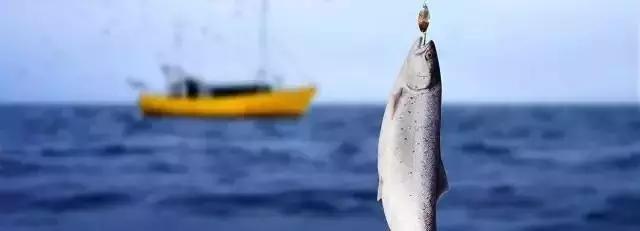 海钓菜鸟必学,海钓基本功练习