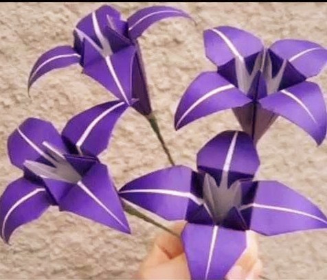 母亲节送什么花最好最合适呢,母亲节送什么花最好最实用