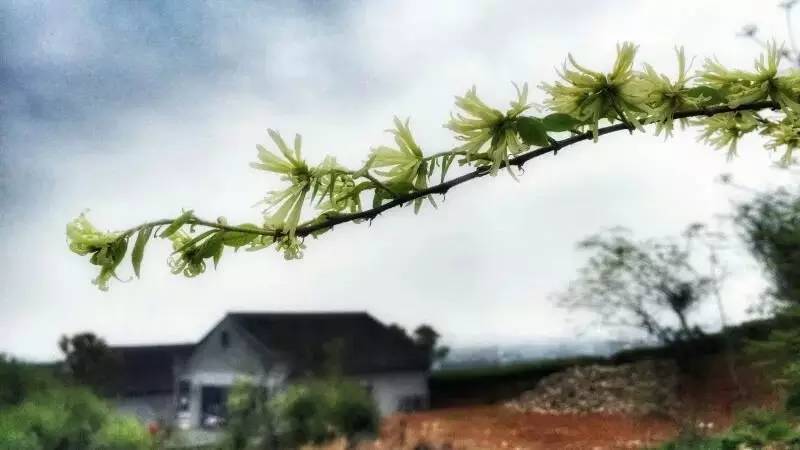 宁波十大休闲会所,宁波休闲农庄有哪些