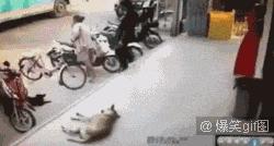 别以为站那么远就射不着你,真是浪费一桶酒