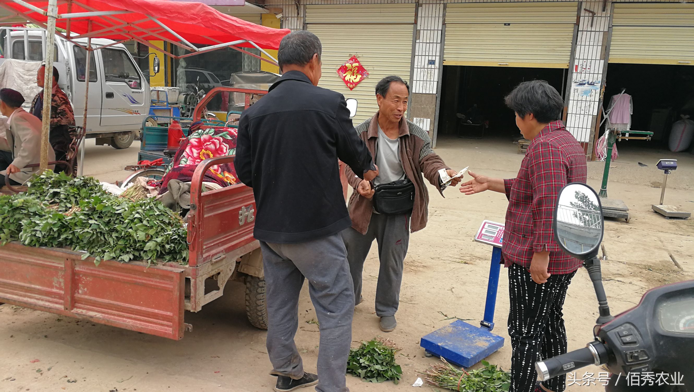 农村不起眼赚钱的小生意,如何在农村做一个小生意赚钱
