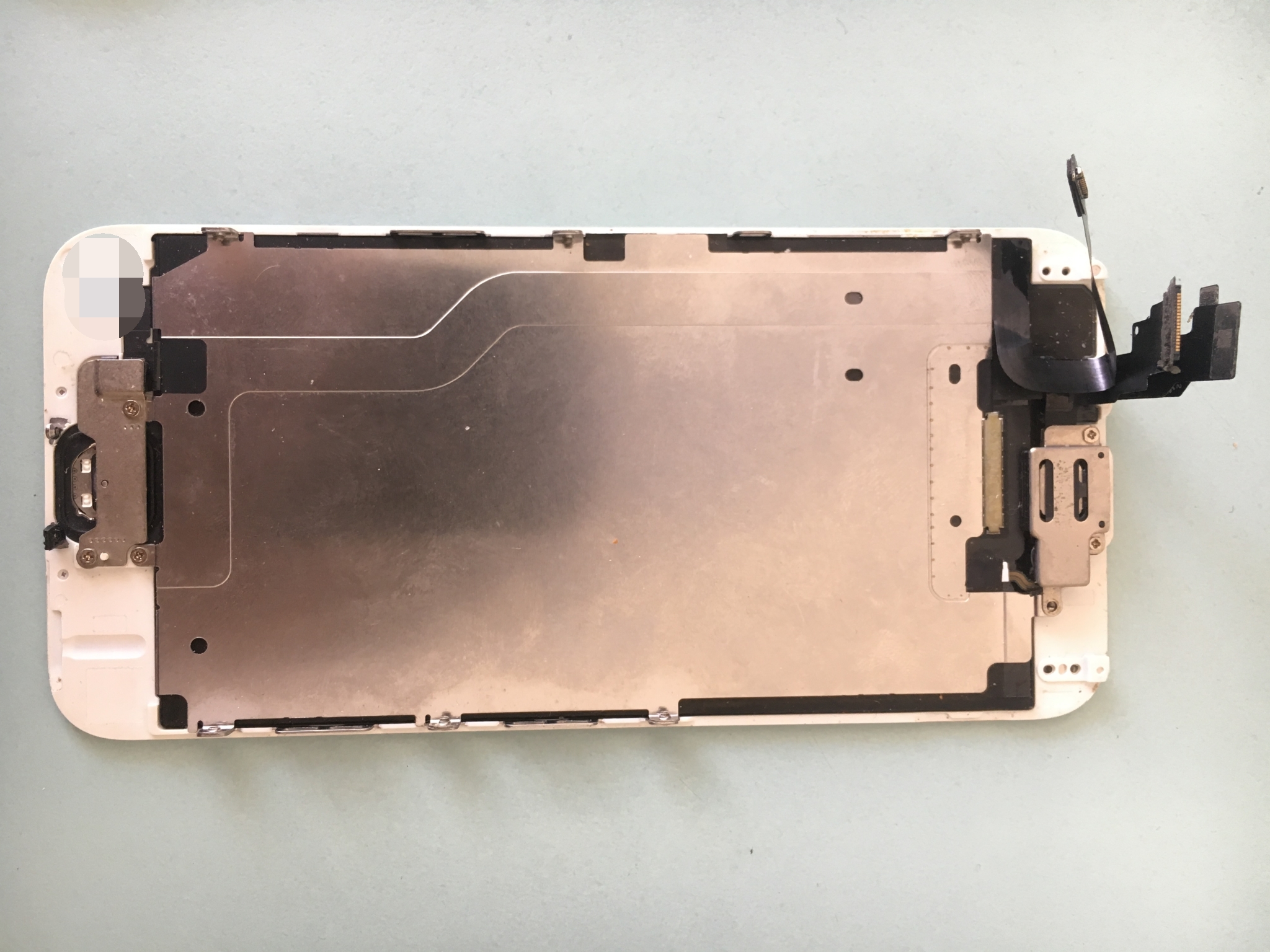 iphone背光有灰怎么办,iphone背光维修教学