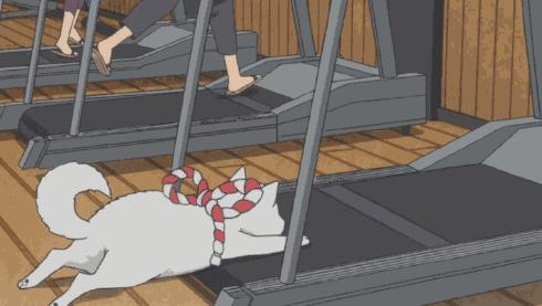 中医虚寒症有哪些,冬病夏治知识大全