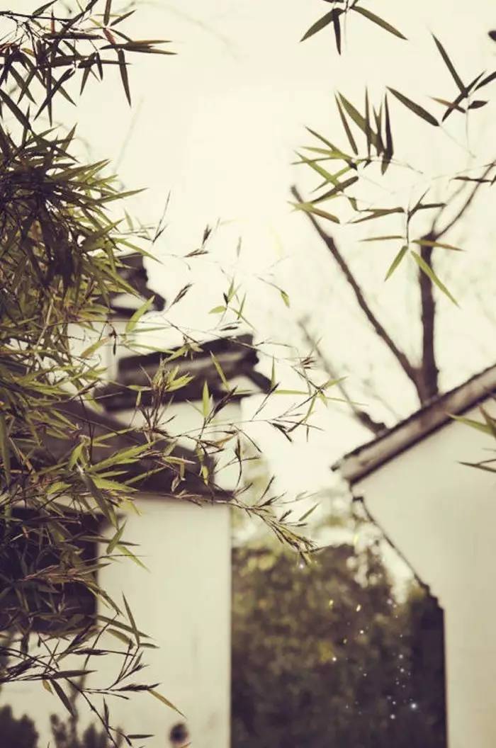 老祖宗留下来的7句狠话句句在理,老祖宗留下来的金句句句在理