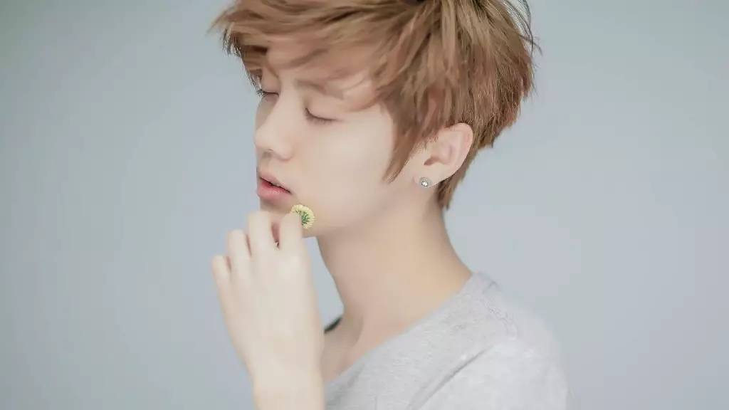 鹿晗树深时见鹿小说,鹿晗森林里的小鹿