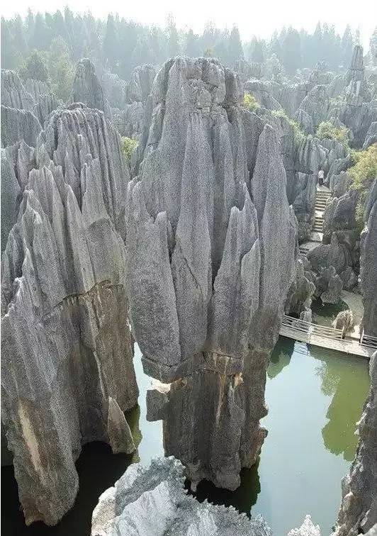 一条让你美到“质疑人生”的微信！