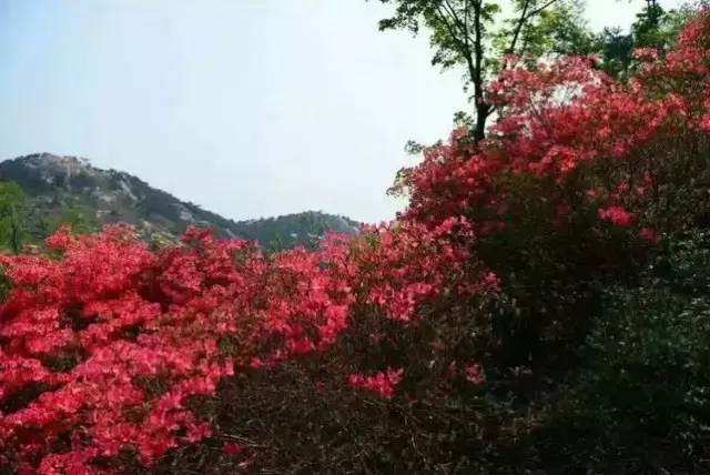 日照有什么好玩的地方,日照索隆