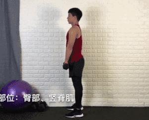 哑铃塑形动作大全,20斤哑铃练手臂的全套动作