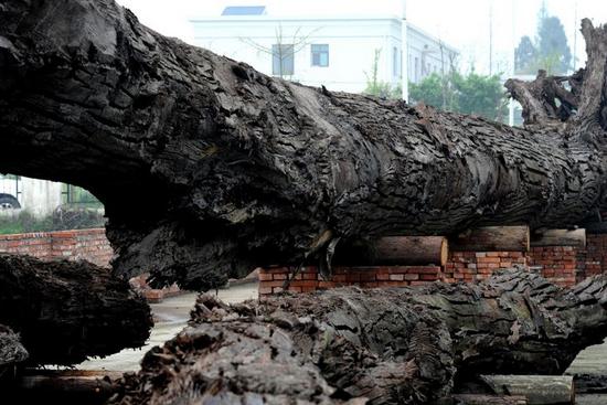 乌木中哪种乌木最好,乌木最高价格是多少