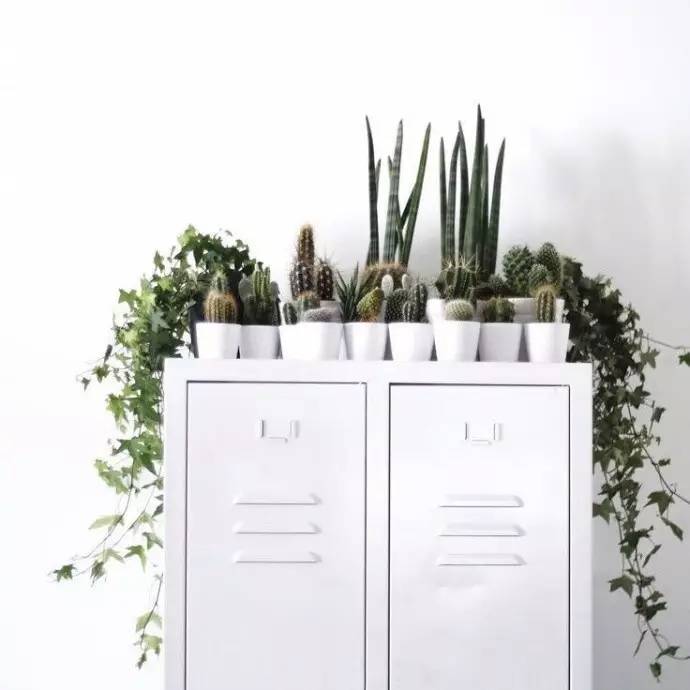 欧亚卖场买不到的家居好物，某宝只要10块钱……