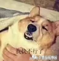 您好，您的脸皮厚度价值十万元人民币