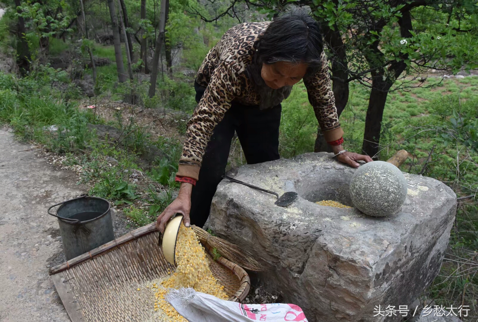 黍米面的做法大全简单又好吃,甘肃黄米面条的家常做法