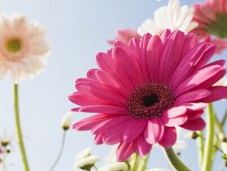 清洁度正常的阴道炎,还需要治疗吗?