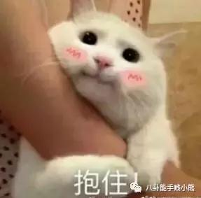 想跟江疏影娜扎一样,在旅途中美完全程,要花多少钱?