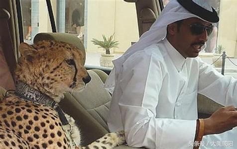 咸阳工资多少才能生活得不错,咸阳平均工资2017是多少