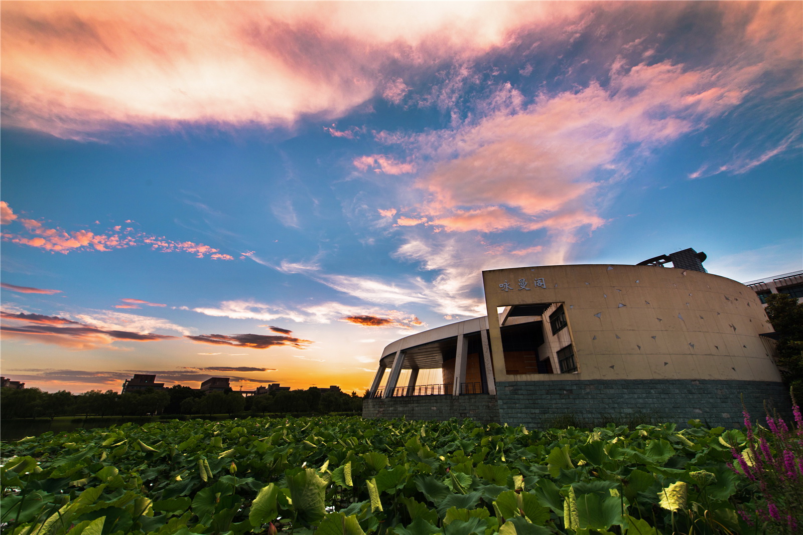 清华北大浙大是国际一流大学吗,浙大在世界大学排名最新