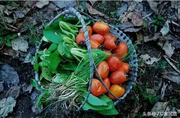 给我一方厨房，还你一桌菜肴