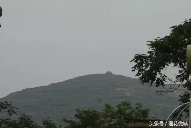 莲城印象图片,莲城印象价格