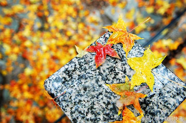 尼康d70有多少像素,尼康单反d7100值得收藏吗