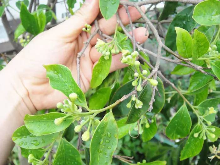 我还要活着的图片,我要为自己好好的活着