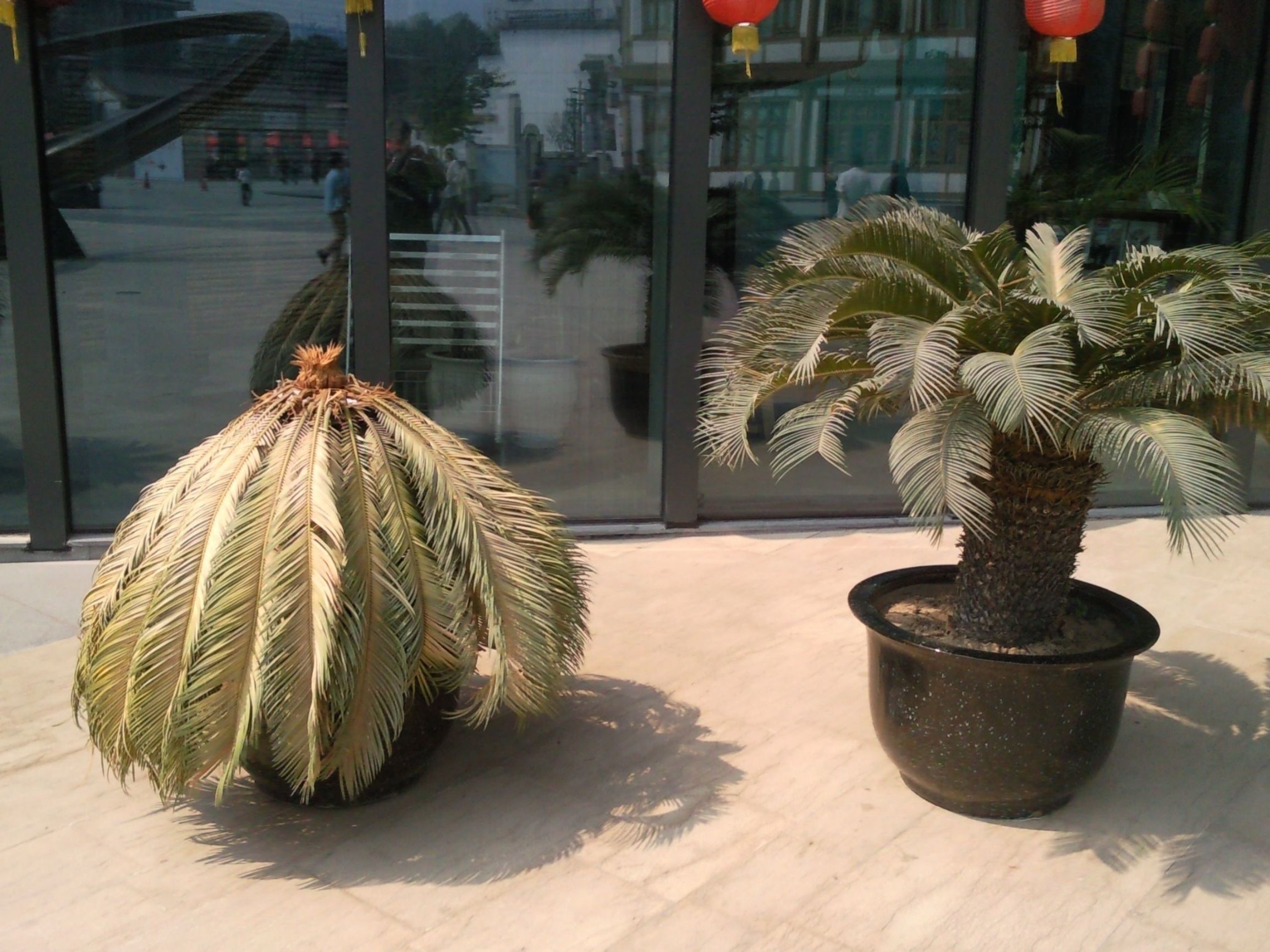 注意这几件事让你永葆青春,注意这些让你少吃亏